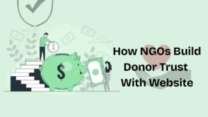 How to build the perfect NGO